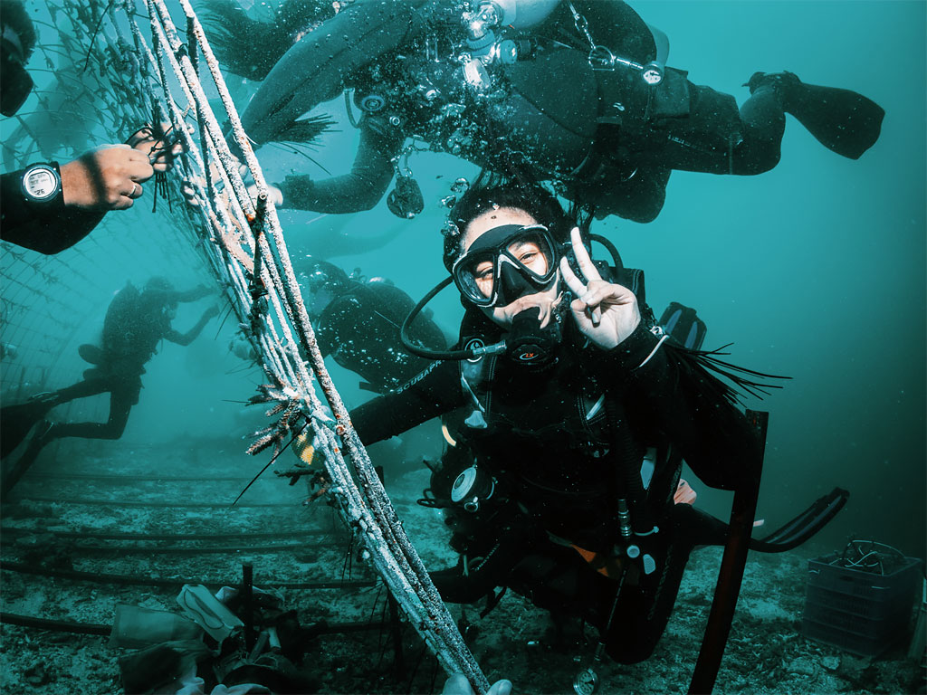 Livingseas Indonesia