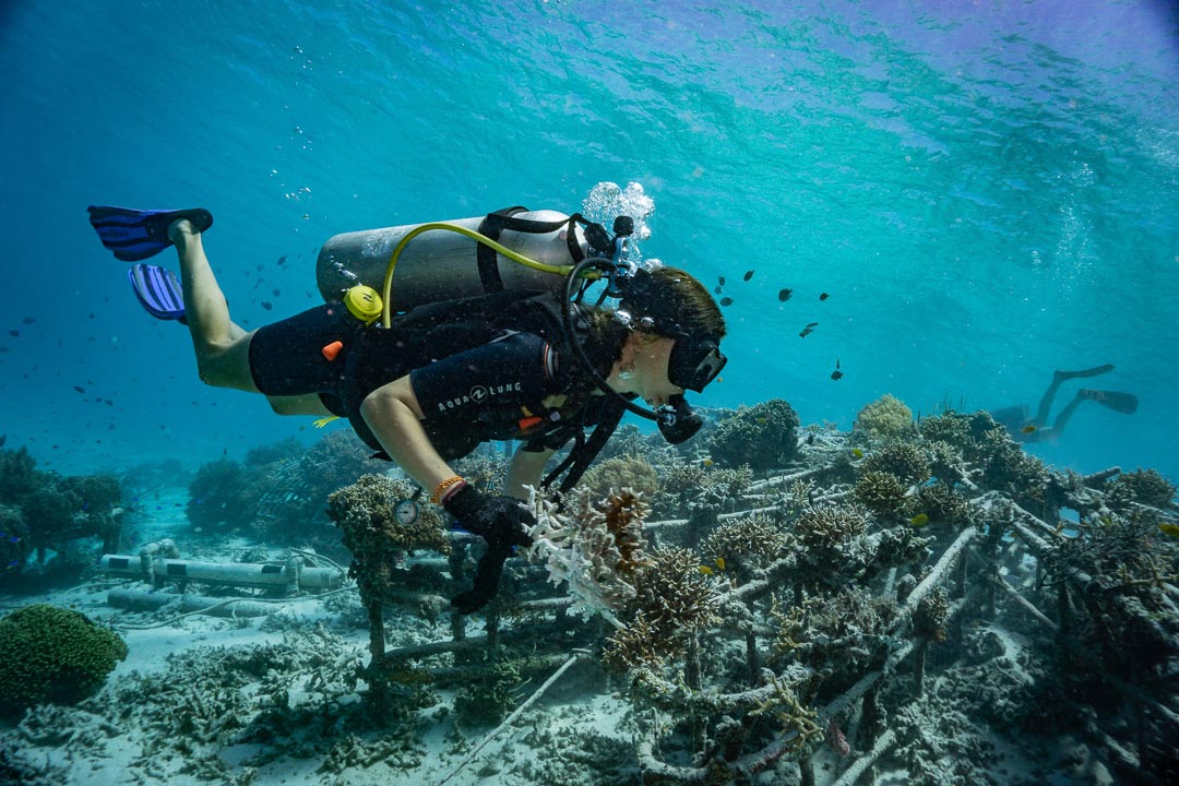 Gili Eco Trust