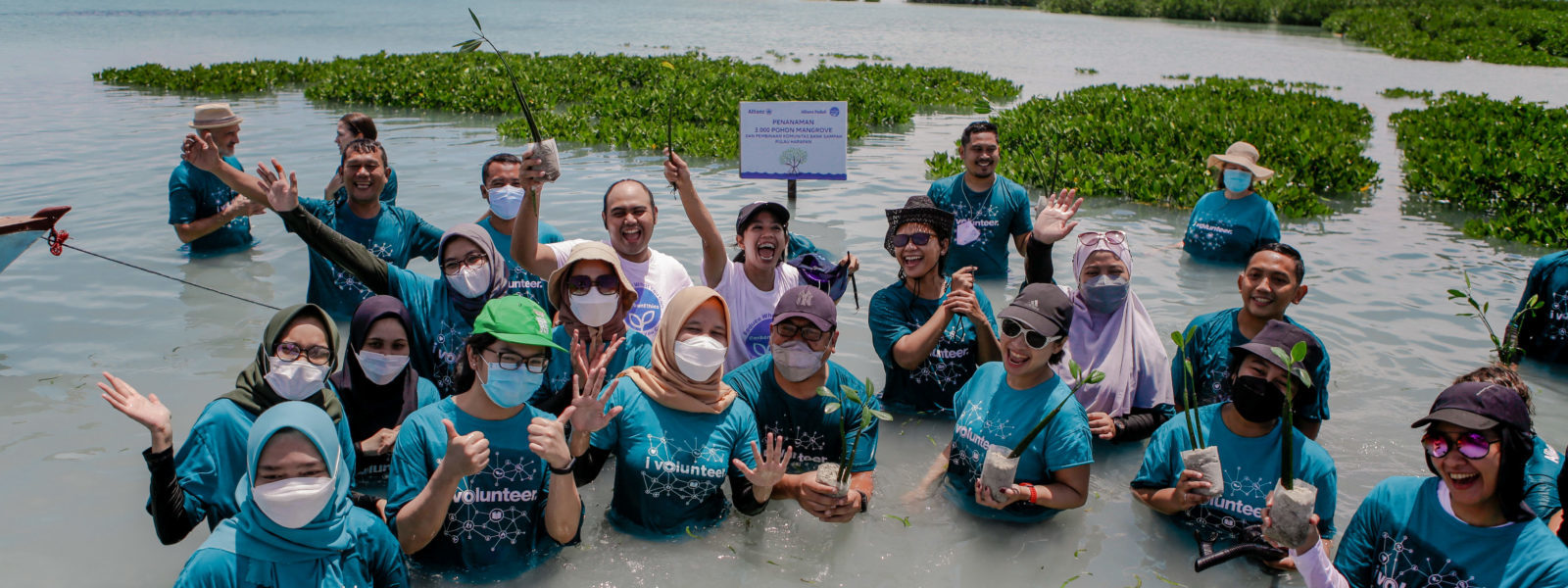 Pulau Harapan