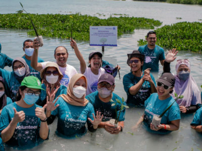 Pulau Harapan