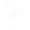 Web resize square