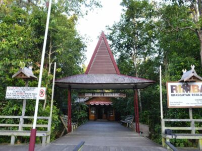 rimba orangutan ecolodge