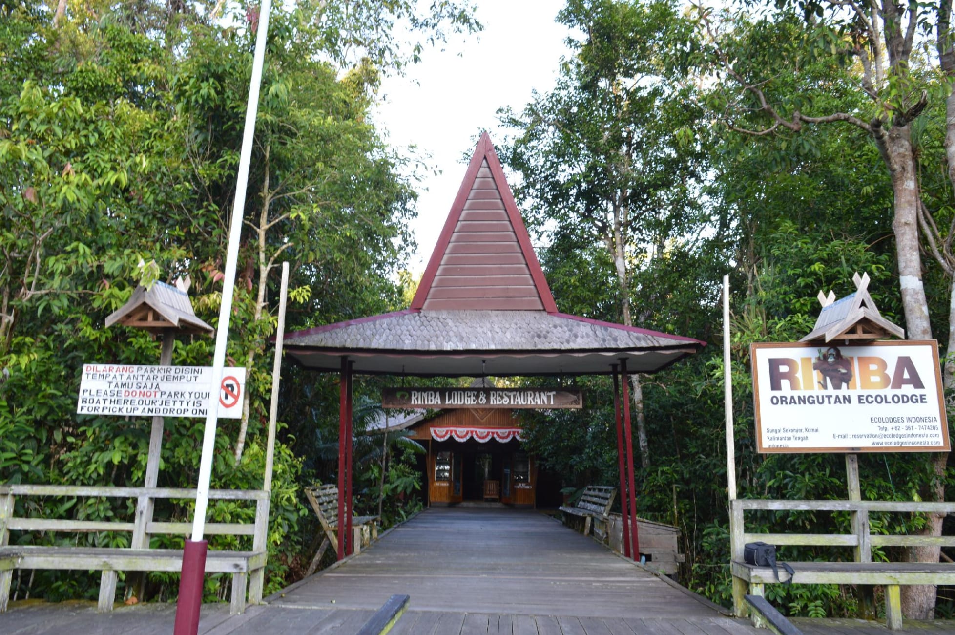 rimba orangutan ecolodge