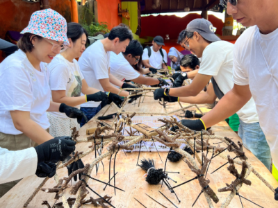 Coral restoration, Bali, Padang Bai