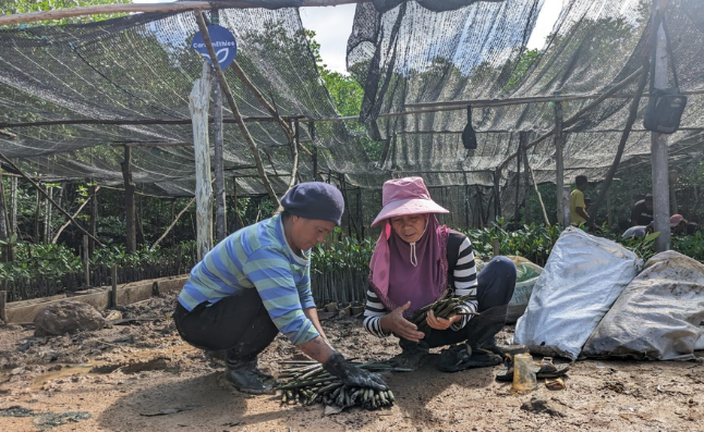 Mangrove Planting, Dompak, Kepulauan Riau