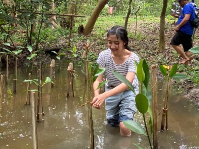Mangrove Planting, Jakarta