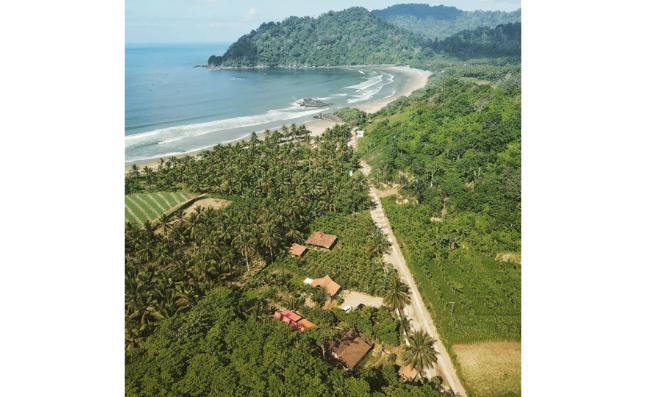 Java Turtle Lodge Meru Betiri