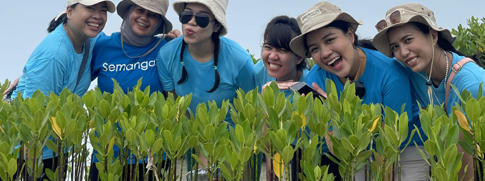 6 wanita berbaju biru Bumi Journey dengan bucket hat sedang gathering kantor berdiri di belakang bibit mangrove di pesisir pantai