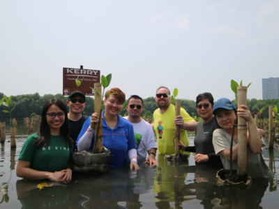 peserta acara penanaman mangrove dari perusahan Kerry berdiri di atas genangan air pantai area konservasi mangrove
