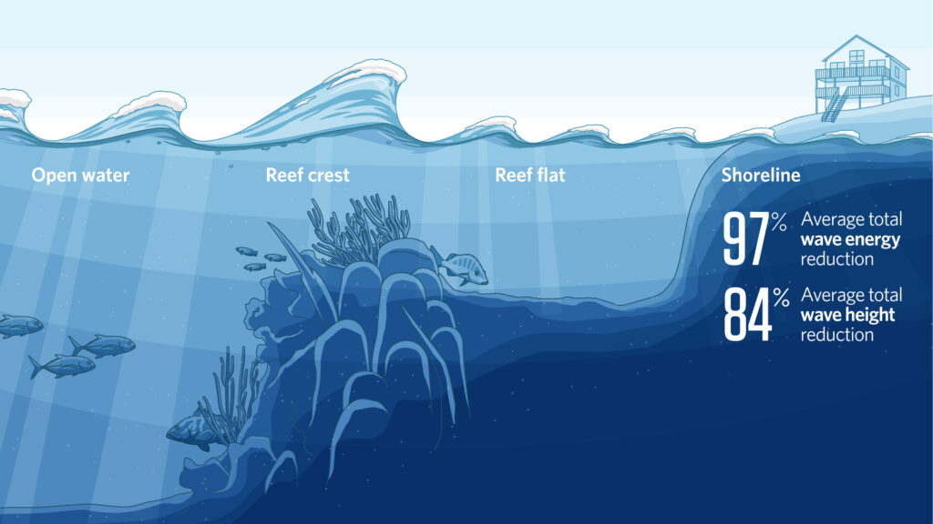 ilustrasi manfaat terumbu karang yang melindungi pesisir pantai dari terjangan ombak di laut lepas