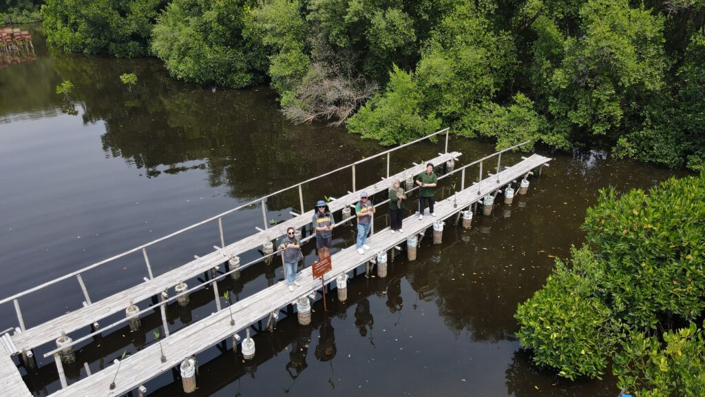 5 peserta gathering kantor berdiri di atas plafon kayu di atas permukaan air hutan mangrove