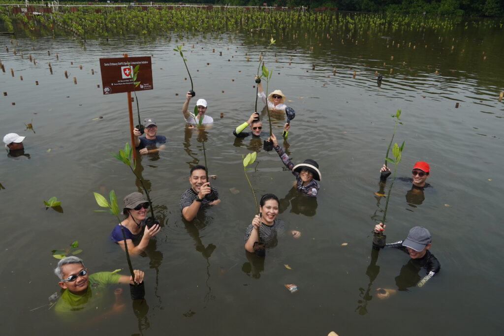Peserta berendam di dalam air ekosistem mangrove sampai setinggi dada dalam acara Swiss Embassy Staff & Spouse Conservation Initiative