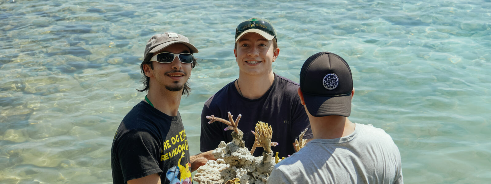 3 pria peserta acara penanaman terumbu karang bersama mengangkat benih terumbu karang yang akan ditanam dalam upaya mencapai SDGs