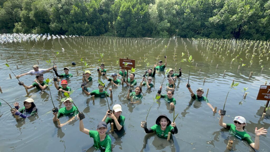 peserta acara CSR Trip terbenam setinggi dada dalam air pada ekosistem mangrove pesisir sebagai langkah komitmen SDGs
