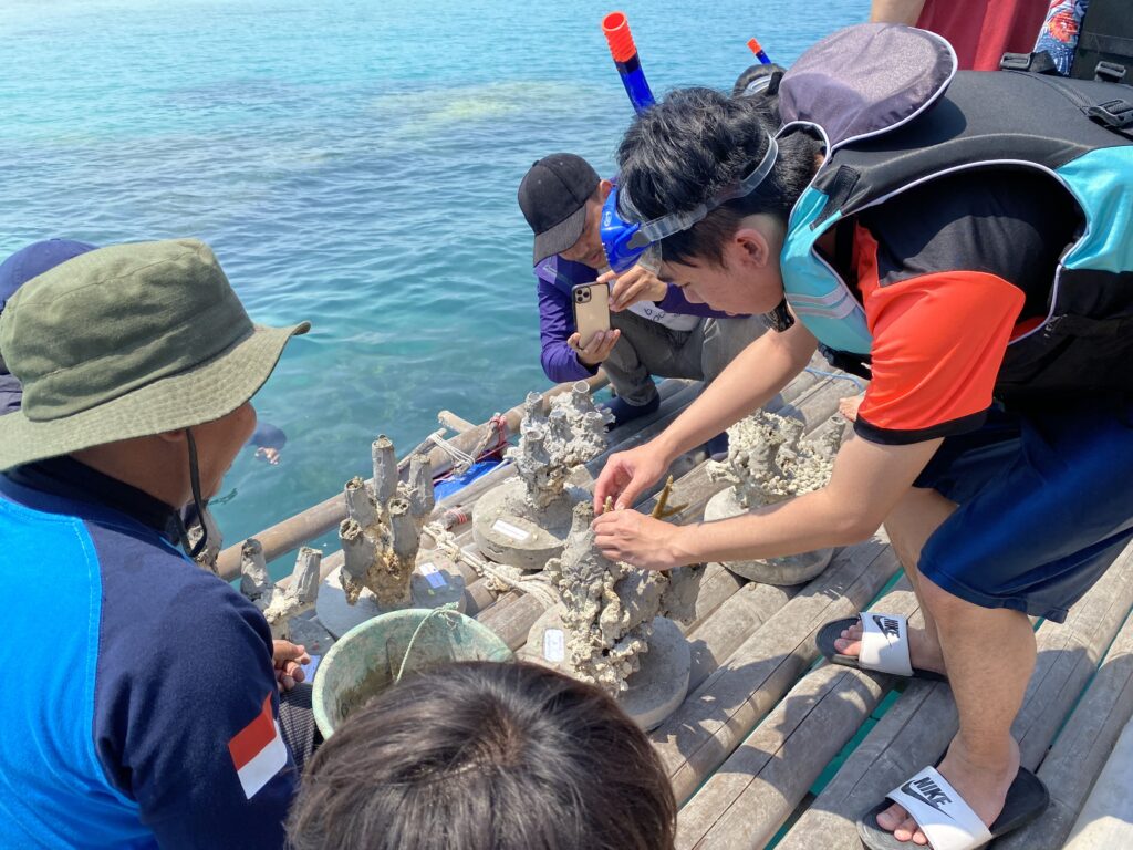 A man in snorkeling gear leaning down to affix a baby coral on the coral base surrounded by coral restoration projects workers on a wooden platform on the beach