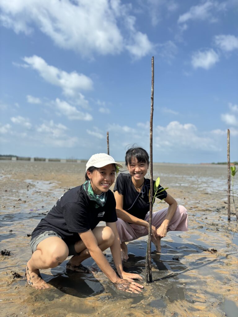 Dua wisatawan sedang menanam pohon mangrove di pantai berlumpur di bawah langit biru yang cerah, sebagai bagian dari kegiatan Sustainable Tourism