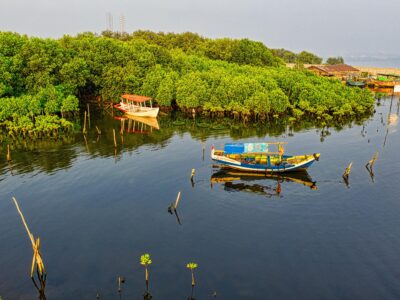 Perahu tradisional berlabuh di perairan tenang yang dikelilingi hutan mangrove hijau lebat, menggambarkan harmoni antara alam dan aktivitas sustainable tourism