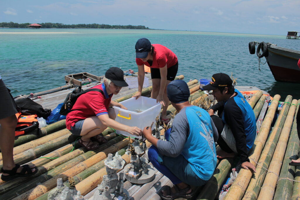 Sekelompok orang sedang melakukan kegiatan restorasi terumbu karang di atas rakit bambu di perairan tropis. Mereka menyiapkan struktur transplantasi karang untuk membantu pemulihan ekosistem laut yang terdampak.