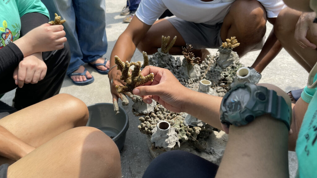 Coral planting di Kepulauan Seribu Jakarta