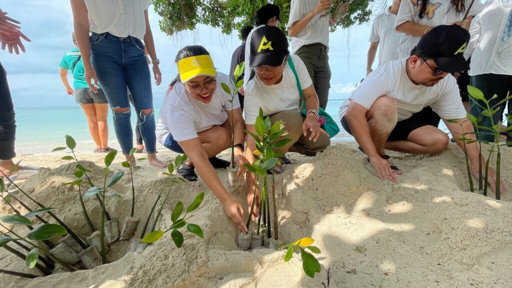 Program CSR Penanaman Mangrove