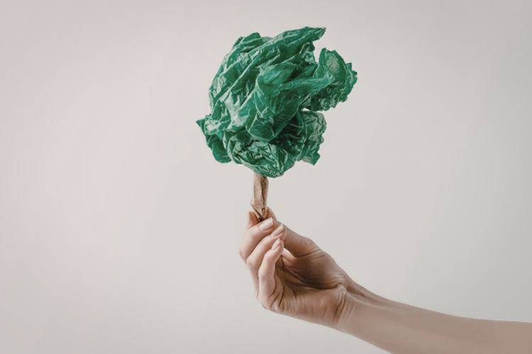 Hindari Greenwashing: Cara Memilih Partner CSR yang Benar-Benar Kredibel